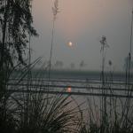 Vraj-Yatra-2014- (72)